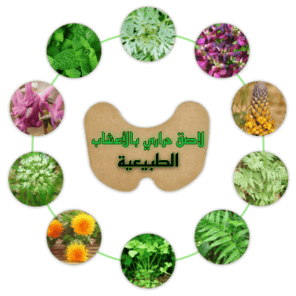 2023 .اللاصقة الحرارية بالأعشاب الطبيعية للتـخلـص من ألـم الركبة™ - 14 قطعة - Makfool