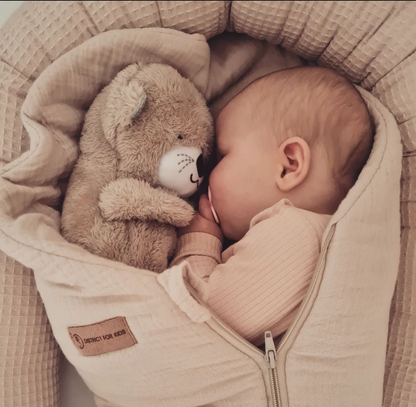 تيدي بير الدب