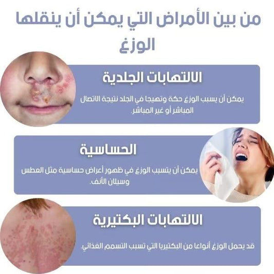 مبيد الوزغ الاصلي 2024